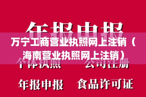 万宁工商营业执照网上注销（海南营业执照网上注销）