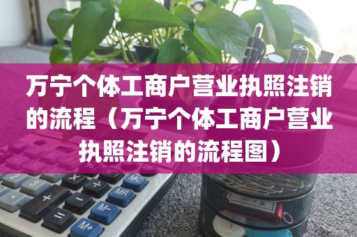 万宁个体工商户营业执照注销的流程（万宁个体工商户营业执照注销的流程图）