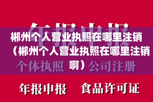 郴州个人营业执照在哪里注销（郴州个人营业执照在哪里注销啊）