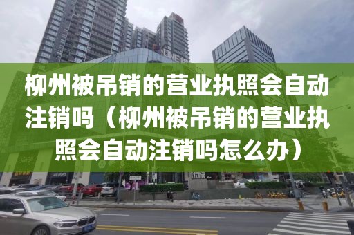 柳州被吊销的营业执照会自动注销吗（柳州被吊销的营业执照会自动注销吗怎么办）