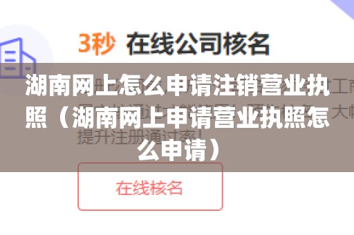 湖南网上怎么申请注销营业执照（湖南网上申请营业执照怎么申请）