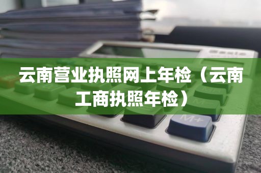 云南营业执照网上年检（云南工商执照年检）