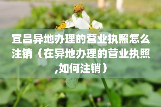 宜昌异地办理的营业执照怎么注销(在异地办理的营业执照,如何注销)