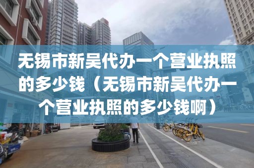 无锡市新吴代办一个营业执照的多少钱(无锡市新吴代办一个营业执照的多少钱啊)