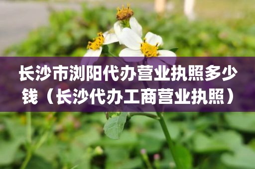 长沙市浏阳代办营业执照多少钱（长沙代办工商营业执照）