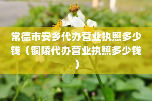 常德市安乡代办营业执照多少钱（铜陵代办营业执照多少钱）