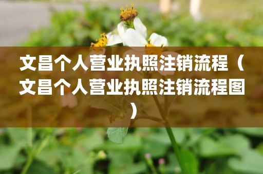 文昌个人营业执照注销流程（文昌个人营业执照注销流程图）