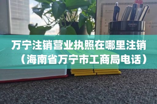 万宁注销营业执照在哪里注销（海南省万宁市工商局电话）
