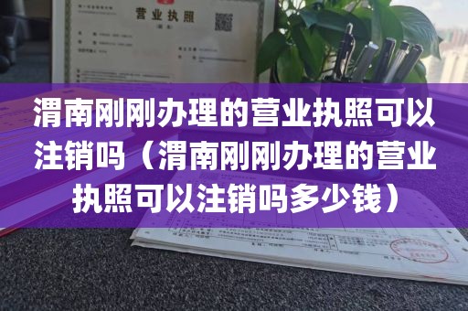 渭南刚刚办理的营业执照可以注销吗（渭南刚刚办理的营业执照可以注销吗多少钱）