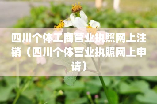 四川个体工商营业执照网上注销（四川个体营业执照网上申请）