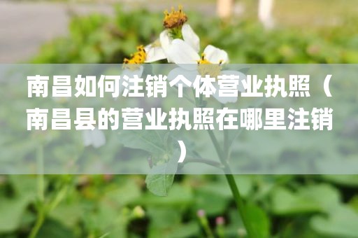 南昌如何注销个体营业执照（南昌县的营业执照在哪里注销）