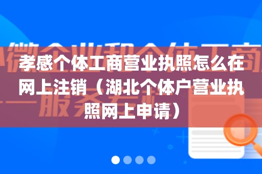 孝感个体工商营业执照怎么在网上注销（湖北个体户营业执照网上申请）