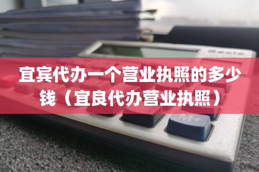 宜宾代办一个营业执照的多少钱（宜良代办营业执照）