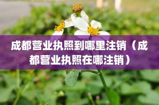 成都营业执照到哪里注销（成都营业执照在哪注销）
