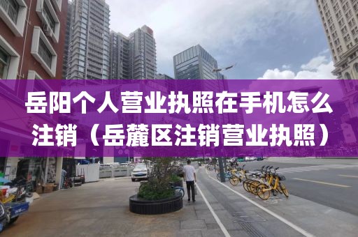 岳阳个人营业执照在手机怎么注销（岳麓区注销营业执照）