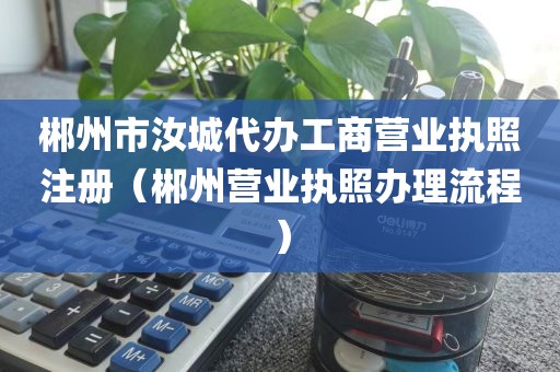 郴州市汝城代办工商营业执照注册（郴州营业执照办理流程）