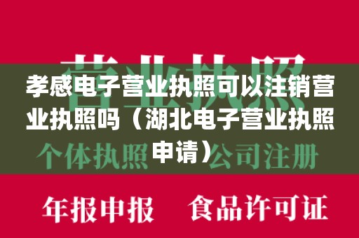 孝感电子营业执照可以注销营业执照吗（湖北电子营业执照申请）