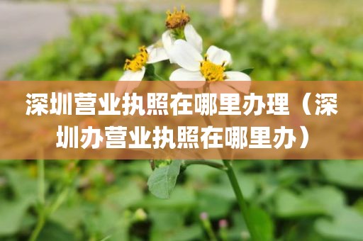 深圳营业执照在哪里办理（深圳办营业执照在哪里办）