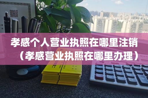 孝感个人营业执照在哪里注销（孝感营业执照在哪里办理）