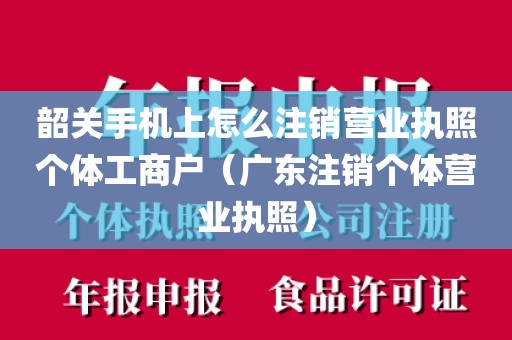 韶关手机上怎么注销营业执照个体工商户（广东注销个体营业执照）