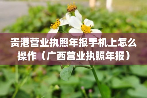 贵港营业执照年报手机上怎么操作（广西营业执照年报）