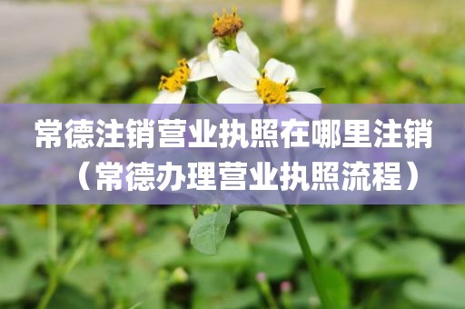 常德注销营业执照在哪里注销（常德办理营业执照流程）