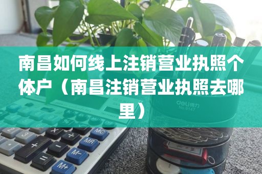 南昌如何线上注销营业执照个体户（南昌注销营业执照去哪里）