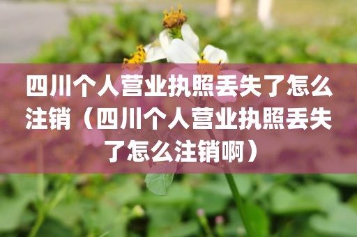 四川个人营业执照丢失了怎么注销（四川个人营业执照丢失了怎么注销啊）