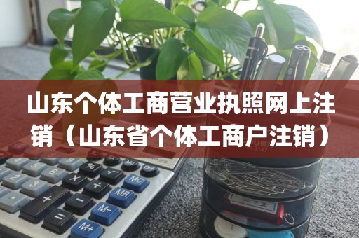 山东个体工商营业执照网上注销（山东省个体工商户注销）