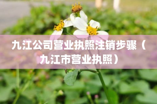 九江公司营业执照注销步骤（九江市营业执照）