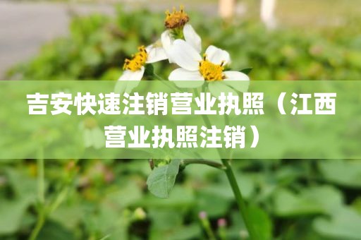 吉安快速注销营业执照（江西营业执照注销）