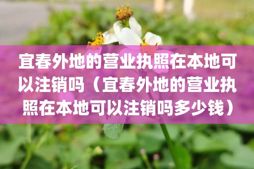 宜春外地的营业执照在本地可以注销吗（宜春外地的营业执照在本地可以注销吗多少钱）