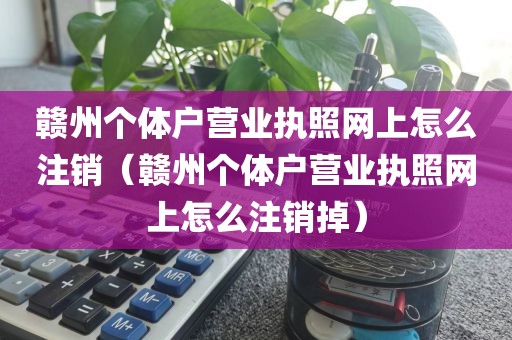 赣州个体户营业执照网上怎么注销（赣州个体户营业执照网上怎么注销掉）