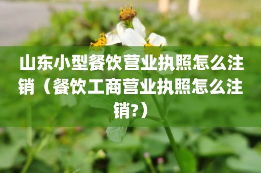 山东小型餐饮营业执照怎么注销（餐饮工商营业执照怎么注销?）