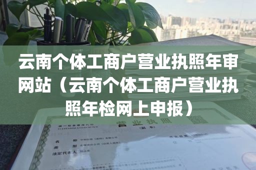 云南个体工商户营业执照年审网站（云南个体工商户营业执照年检网上申报）
