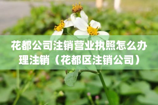花都公司注销营业执照怎么办理注销(花都区注销公司)