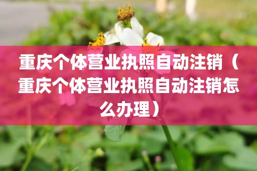 重庆个体营业执照自动注销(重庆个体营业执照自动注销怎么办理)