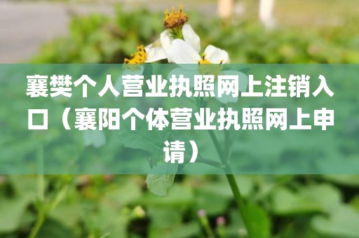 襄樊个人营业执照网上注销入口（襄阳个体营业执照网上申请）