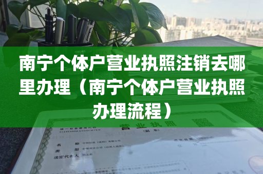 南宁个体户营业执照注销去哪里办理（南宁个体户营业执照办理流程）
