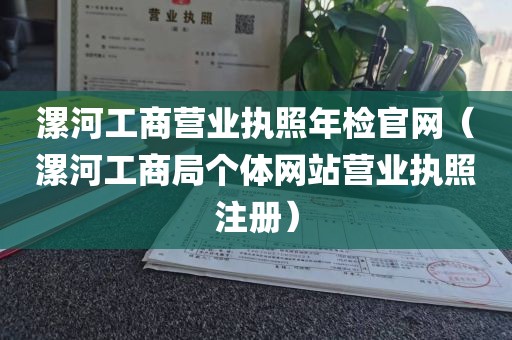 漯河工商营业执照年检官网（漯河工商局个体网站营业执照注册）