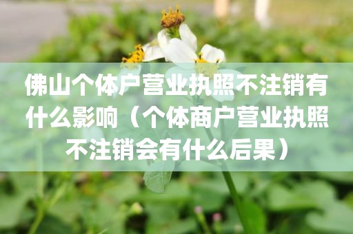 佛山个体户营业执照不注销有什么影响（个体商户营业执照不注销会有什么后果）