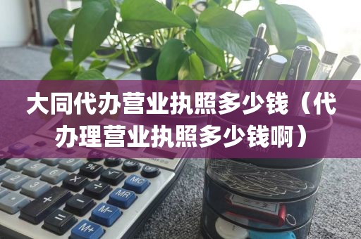 大同代办营业执照多少钱（代办理营业执照多少钱啊）