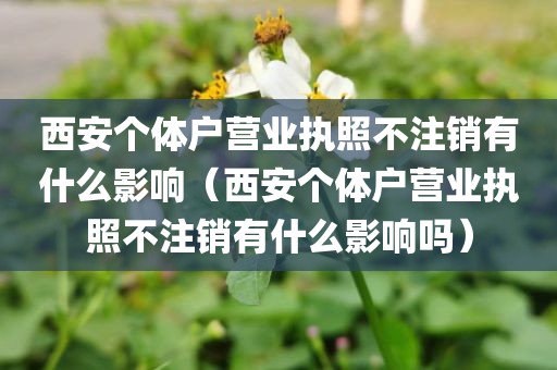 西安个体户营业执照不注销有什么影响（西安个体户营业执照不注销有什么影响吗）