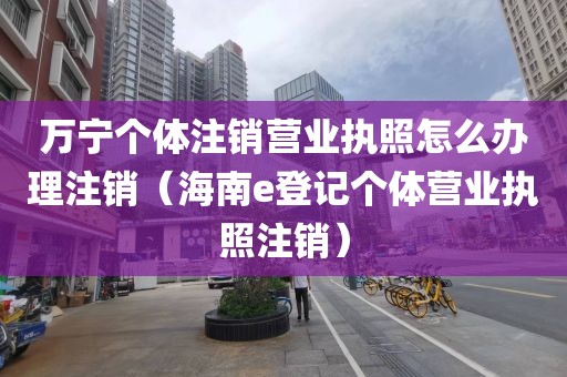 万宁个体注销营业执照怎么办理注销（海南e登记个体营业执照注销）