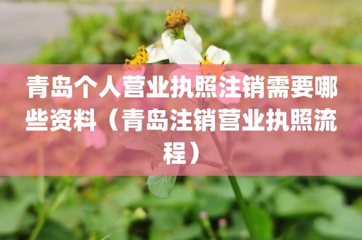 青岛个人营业执照注销需要哪些资料（青岛注销营业执照流程）