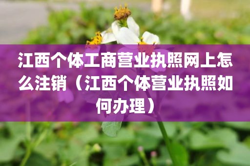 江西个体工商营业执照网上怎么注销（江西个体营业执照如何办理）