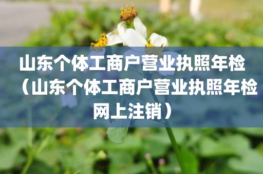 山东个体工商户营业执照年检(山东个体工商户营业执照年检网上注销)