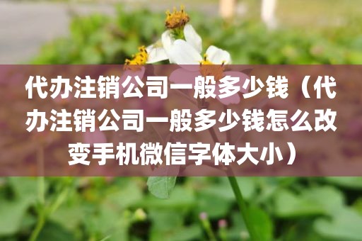 代办注销公司一般多少钱(代办注销公司一般多少钱怎么改变手机微信字体大小)