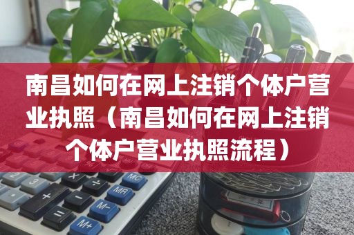 南昌如何在网上注销个体户营业执照（南昌如何在网上注销个体户营业执照流程）