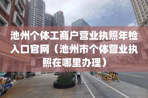 池州个体工商户营业执照年检入口官网(池州市个体营业执照在哪里办理)